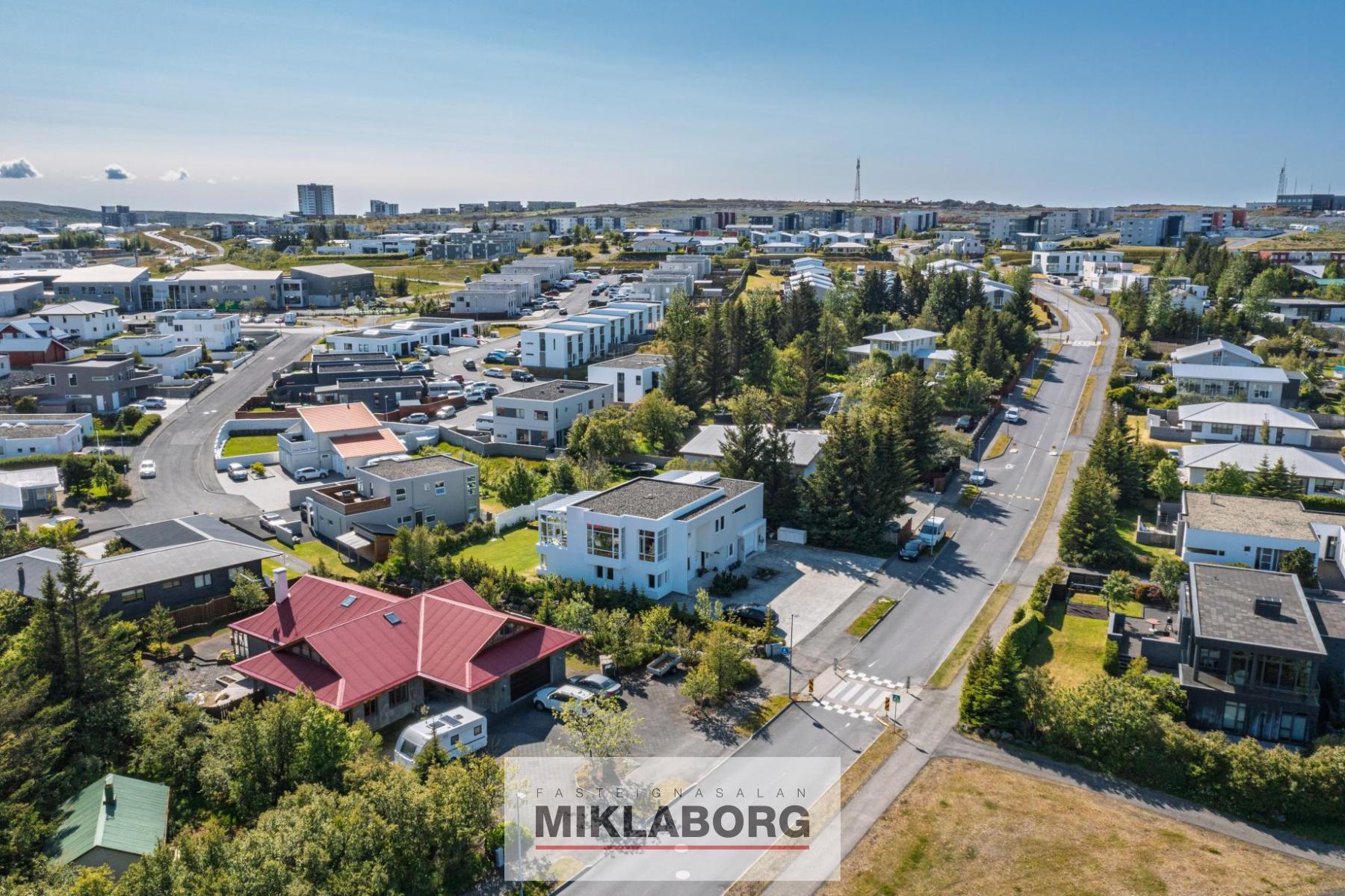 20250609-DJI_0874.jpg