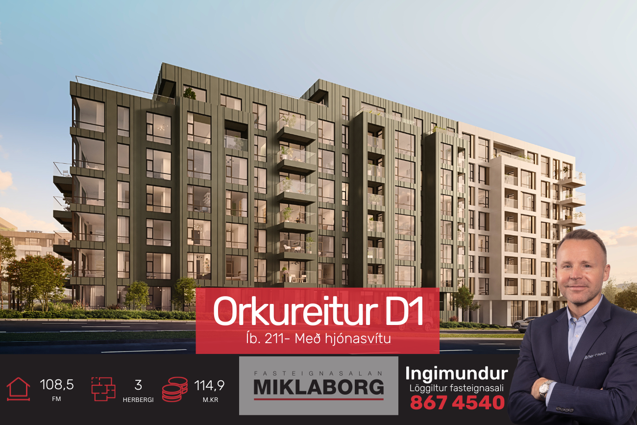 Diddi_vefur (24).png