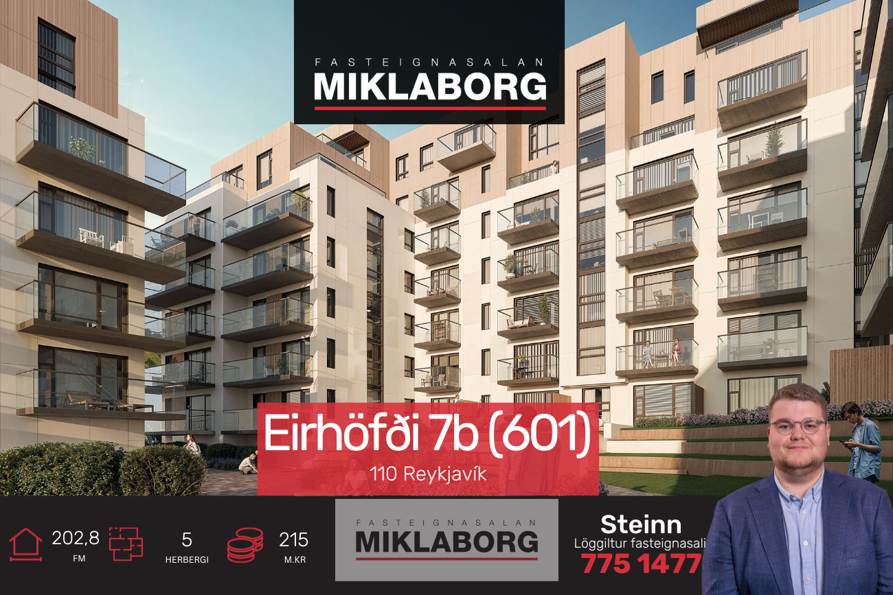 Steini_vefur b601.png