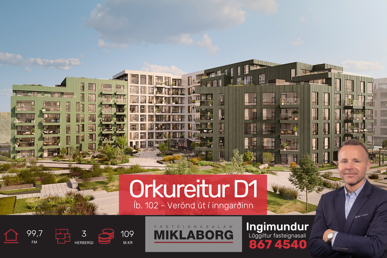 Diddi_vefur (26).png