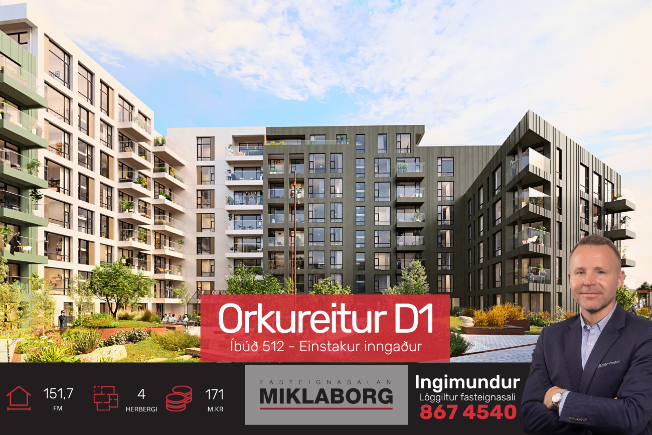 Diddi_vefur (14).png