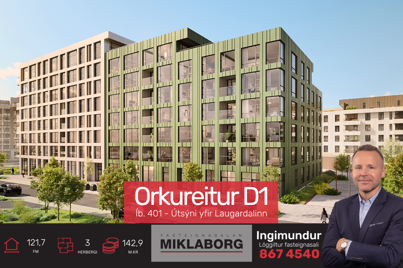 Diddi_vefur (20).png