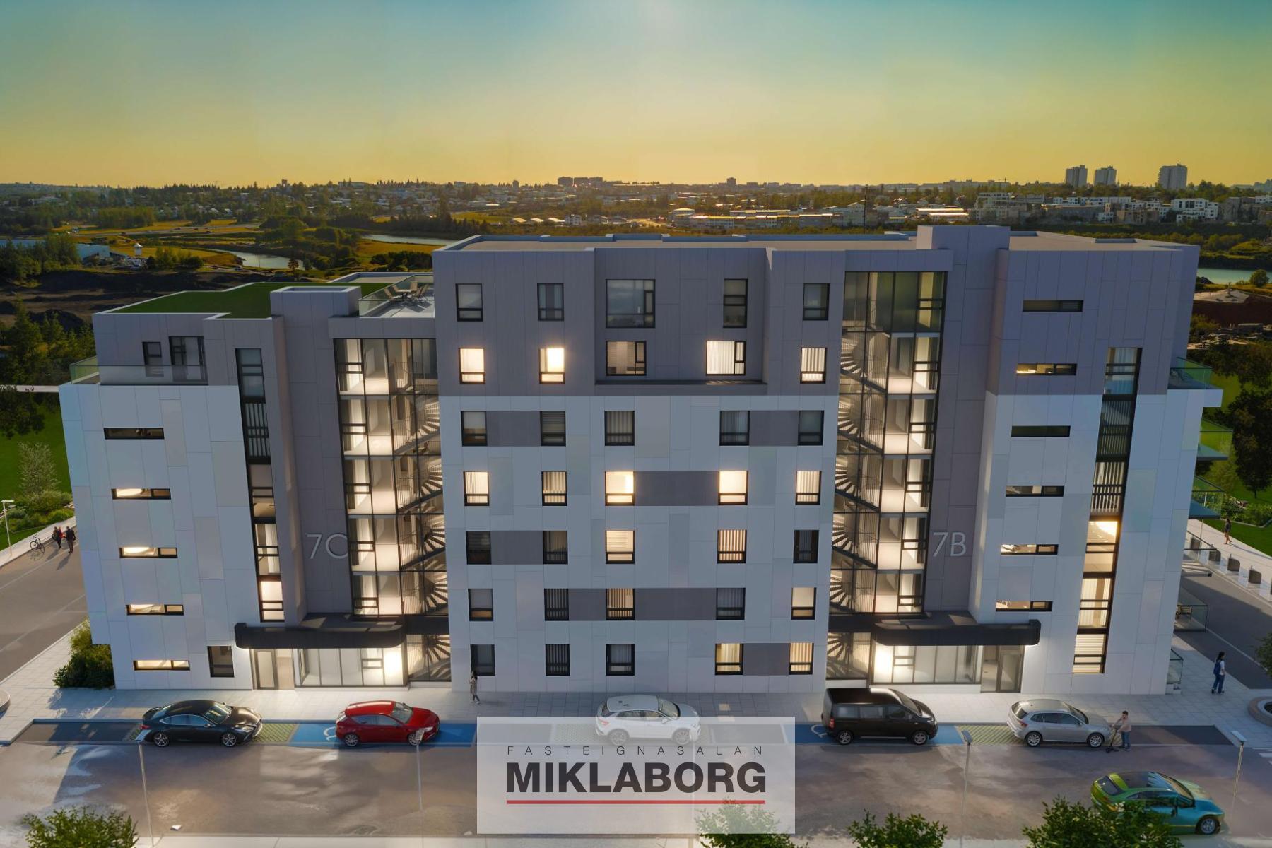 DJI_0869 13 nov 2024.jpg