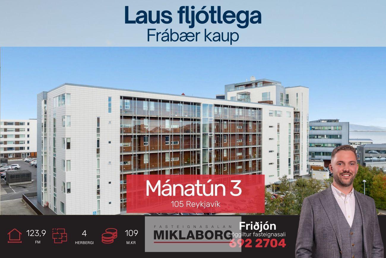 Friðjón_vefur (10).jpg