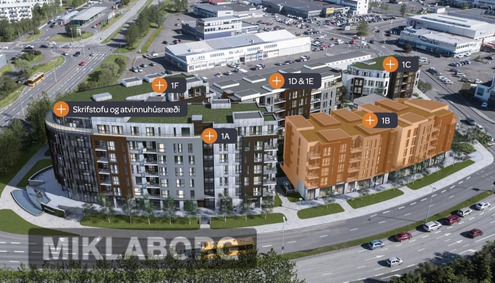 yfirlitsmynd - G1.jpg