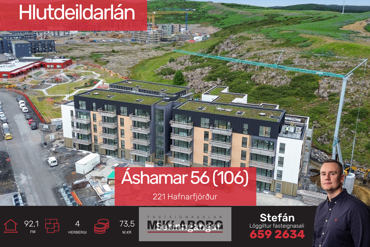 stebbi_vefur (3).png