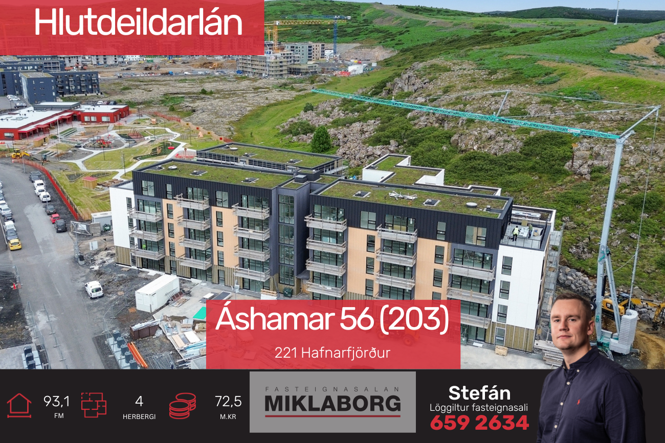 stebbi_vefur (4).png