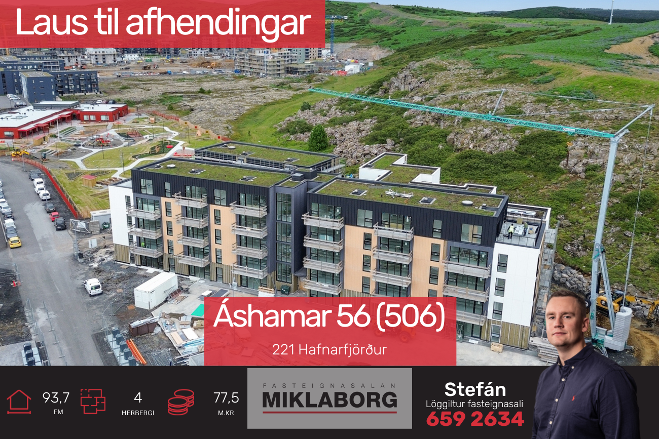 stebbi_vefur (7).png